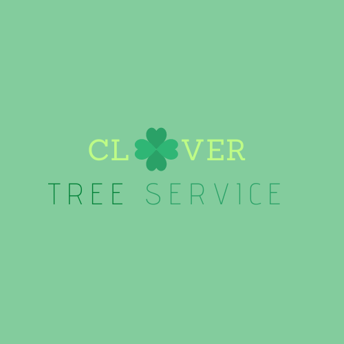 Logo for Clover tree Service