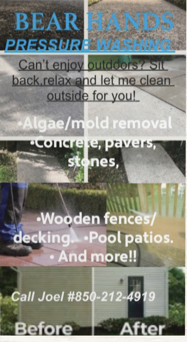 Bear Hands pressure Washing services logo
