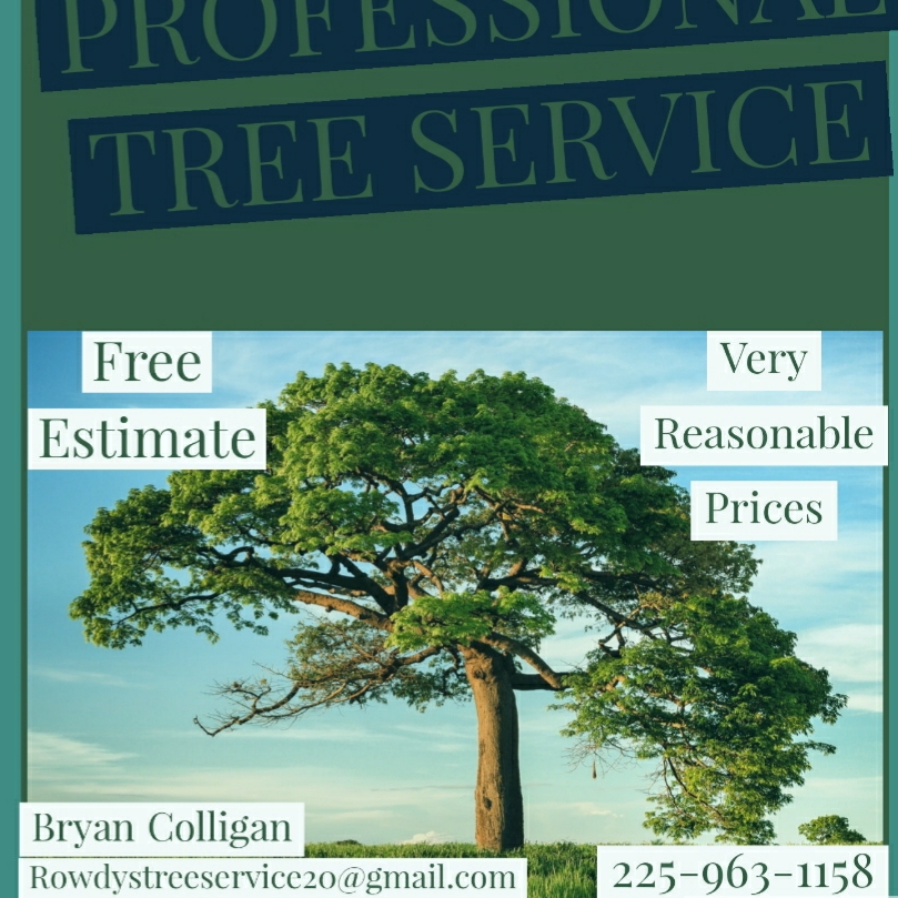 ROWDY'S PROFESSIONAL TREE SERVICE logo