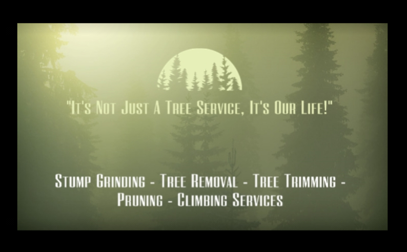 Tree Life Stump Removal & Tree Service logo