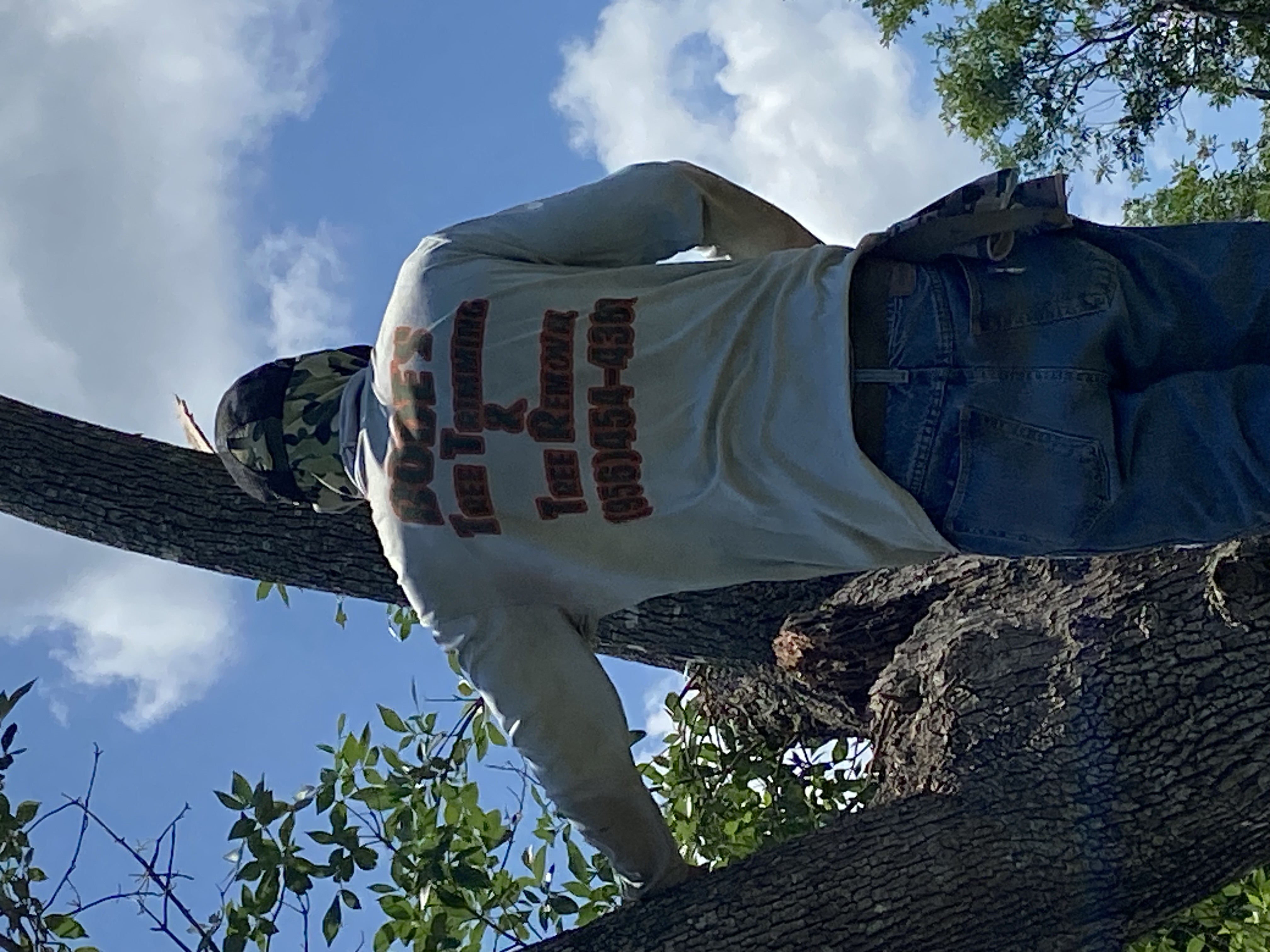 Bode's tree removal, tree trimming, and lawn care logo