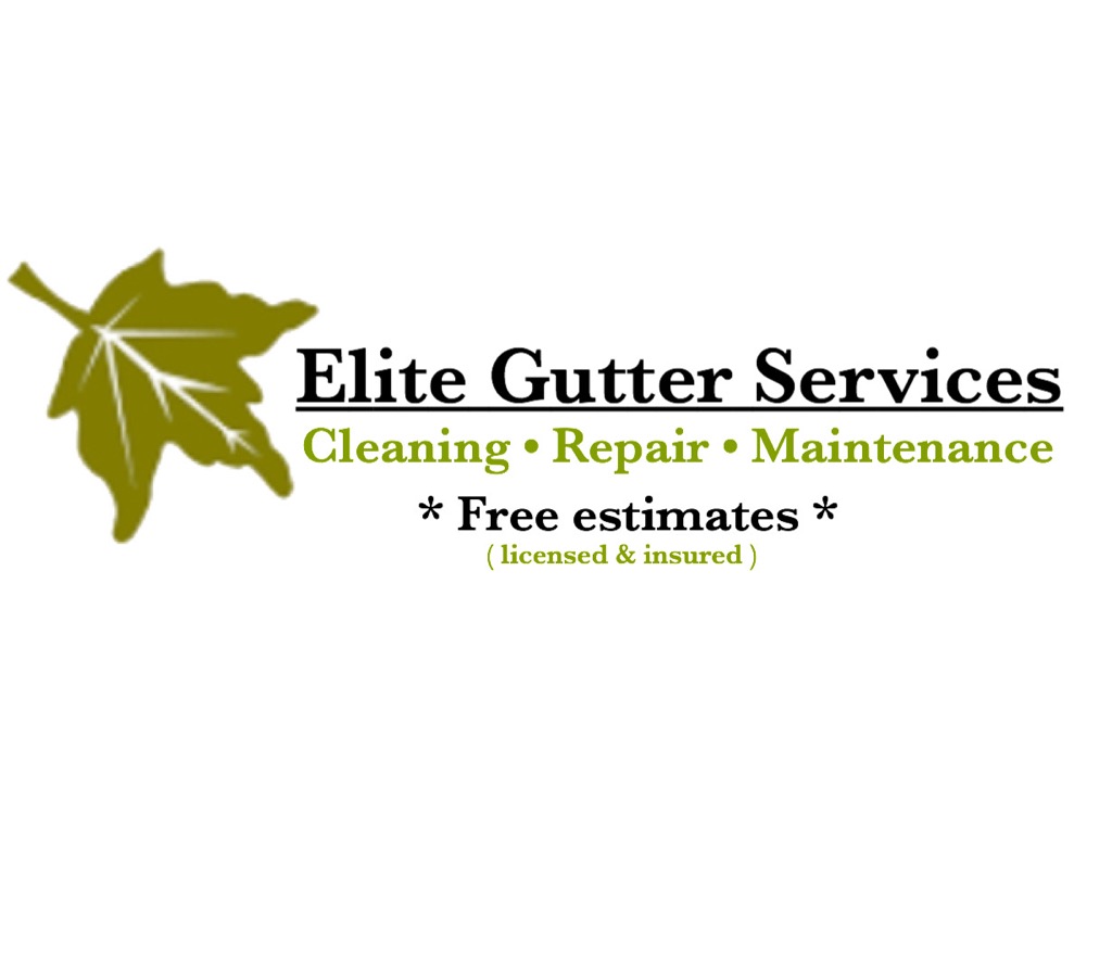 Elite Gutter Services logo