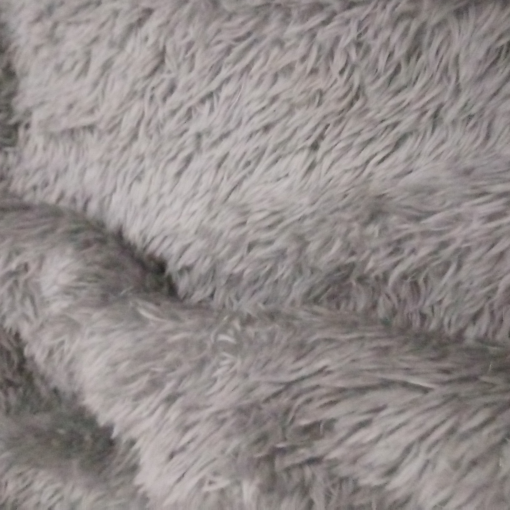 Avatar for Ivys five star cleaning service