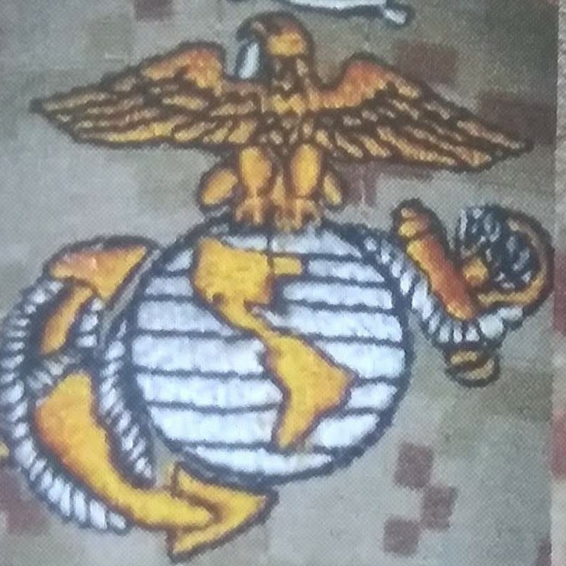 Renegade Home Services logo