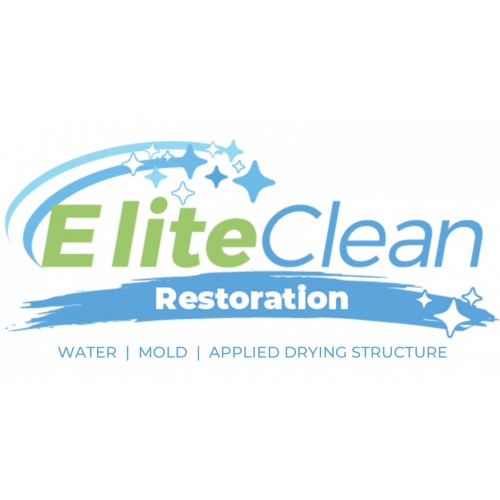 Avatar for Elite Clean Restoration