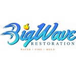 Big Wave Restoration logo