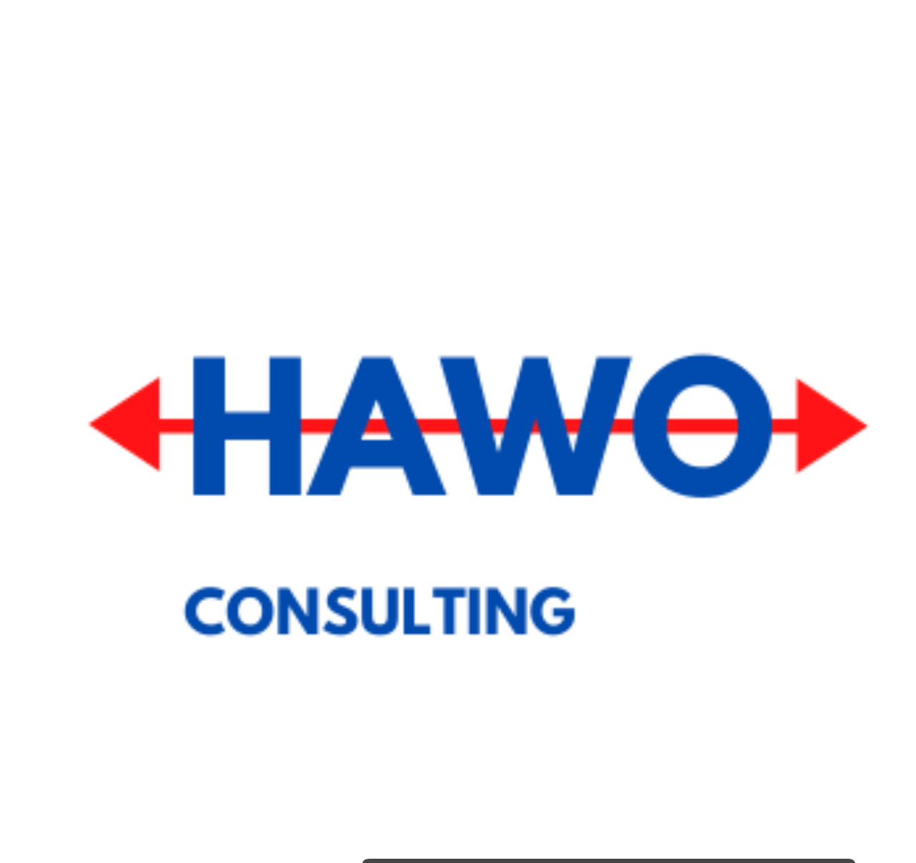 HAWO Inc logo