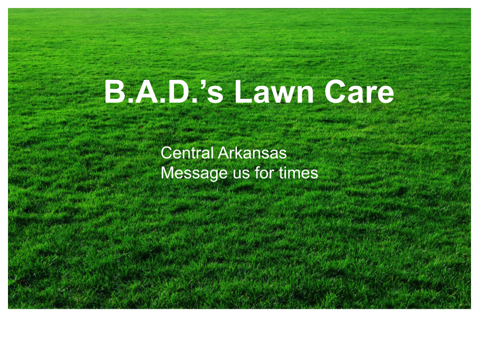 B.A.D's lawn care logo