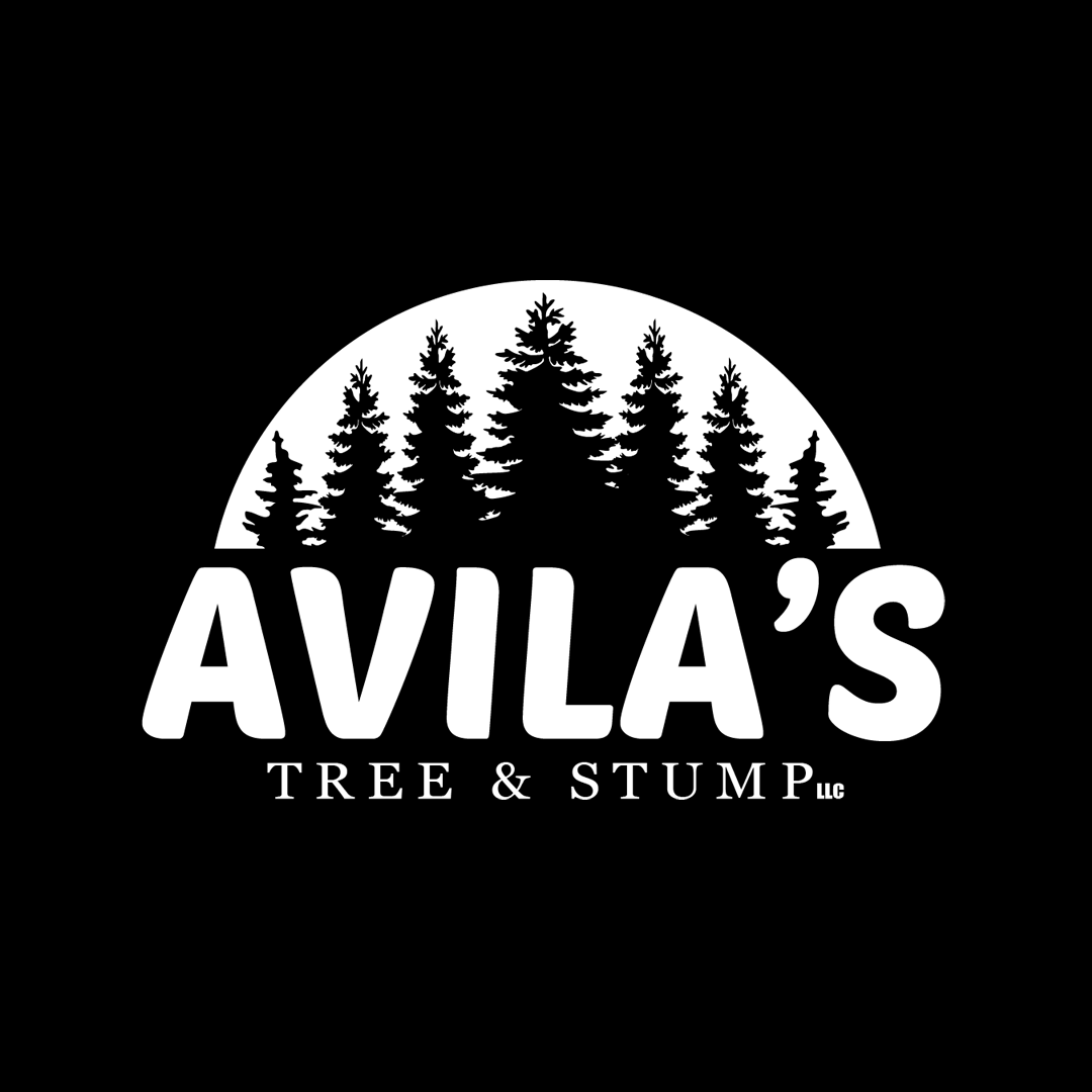 Avatar for Avila's Tree & Stump