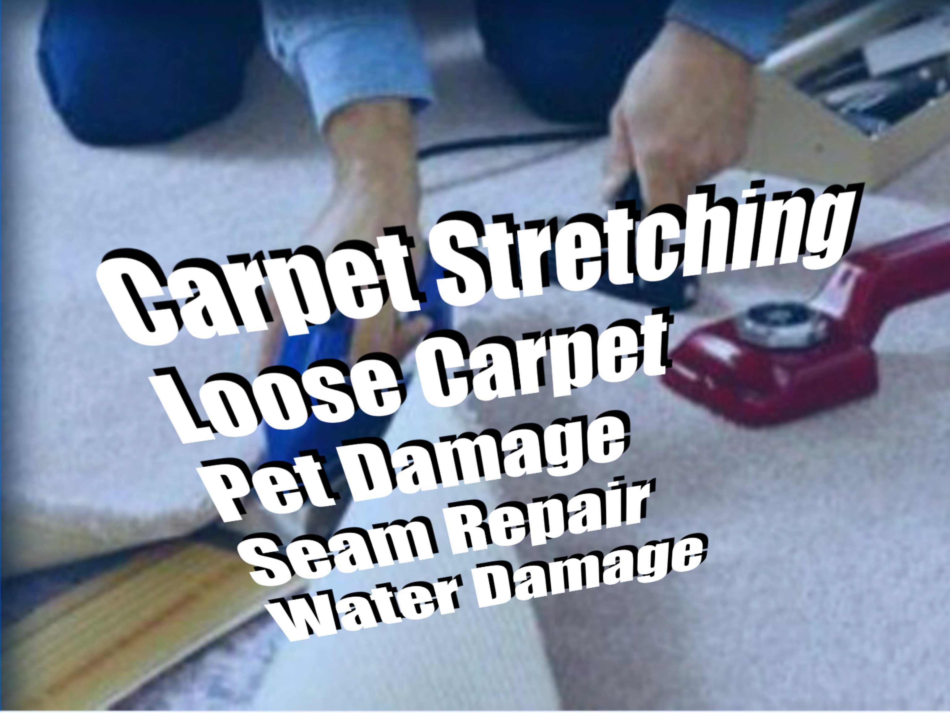 Avatar for Nu-way Carpet Repair