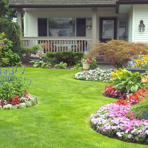 Avatar for Lucky day lawncare
