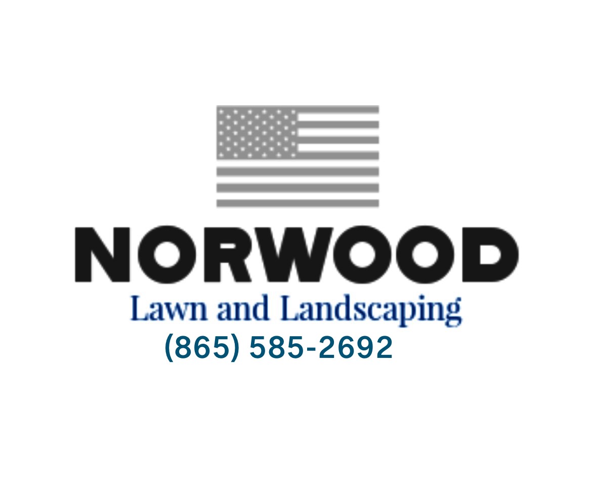 Avatar for Norwood Lawn and Landscaping