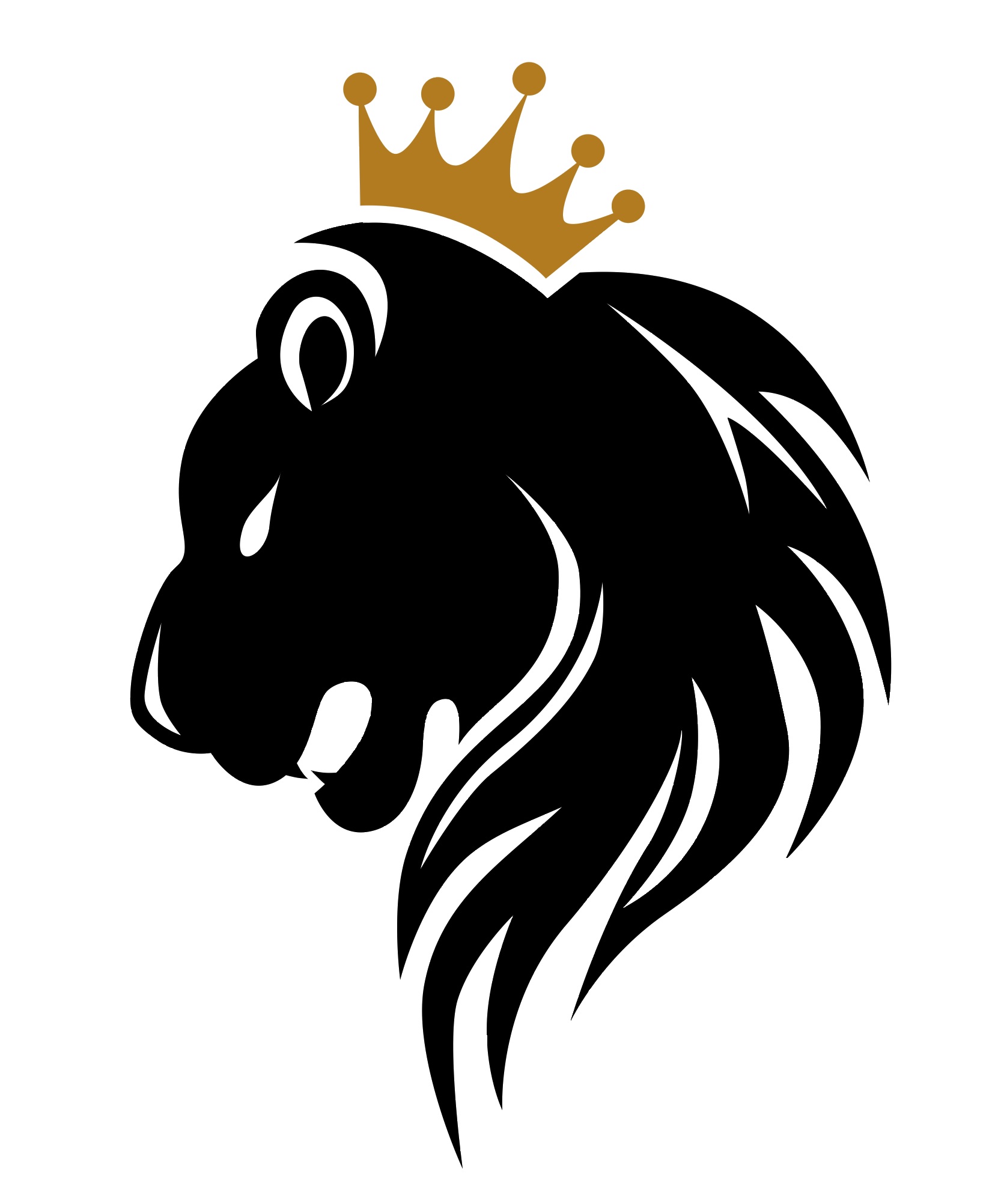 Avatar for Ulloa llc