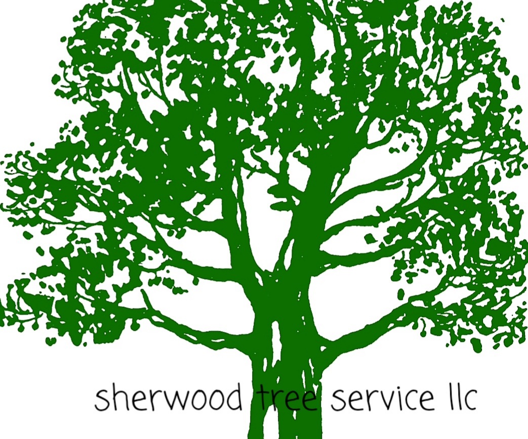 Avatar for Sherwood Tree Service