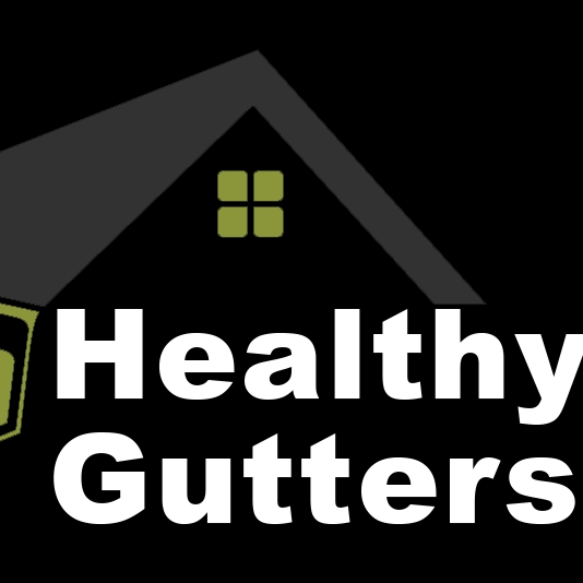 Avatar for Healthy Gutters