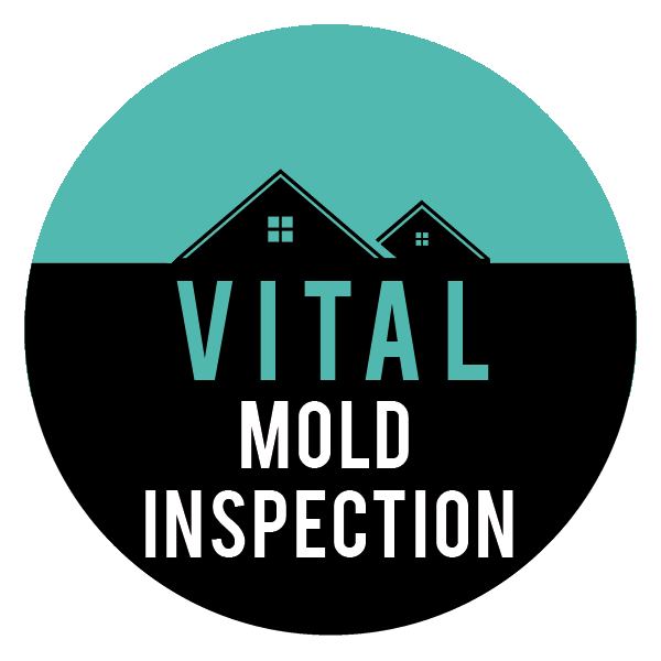 Avatar for Vital Mold Inspection