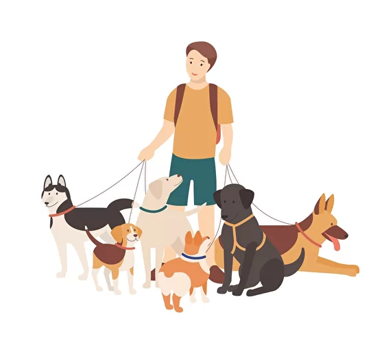 John's Wags n' Walks logo