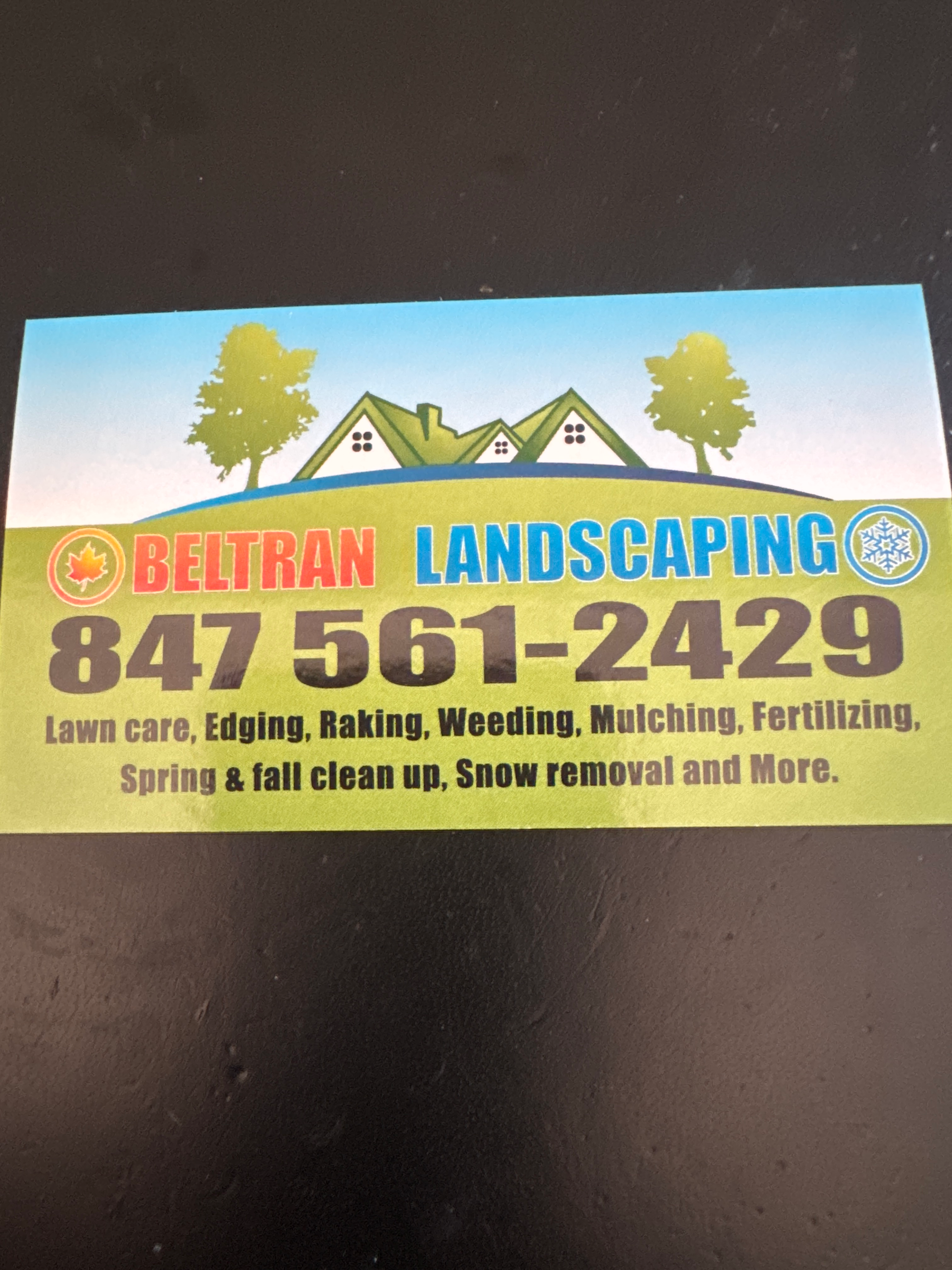 Logo for Beltrán landscaping