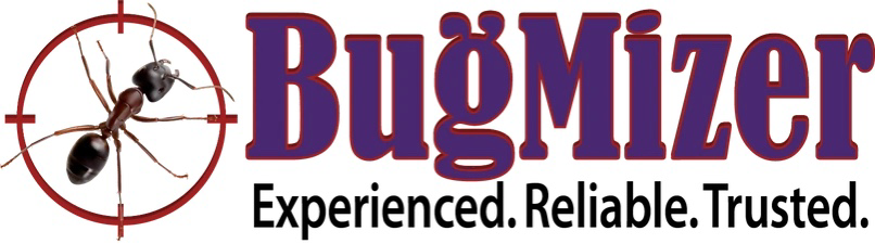 Avatar for BugMizer Termite and Pest