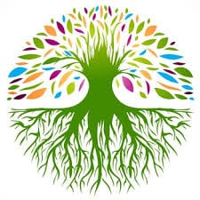 Avatar for Southern Tier Cleaning Company