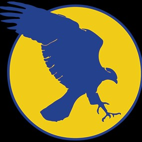Hawk Security Services logo
