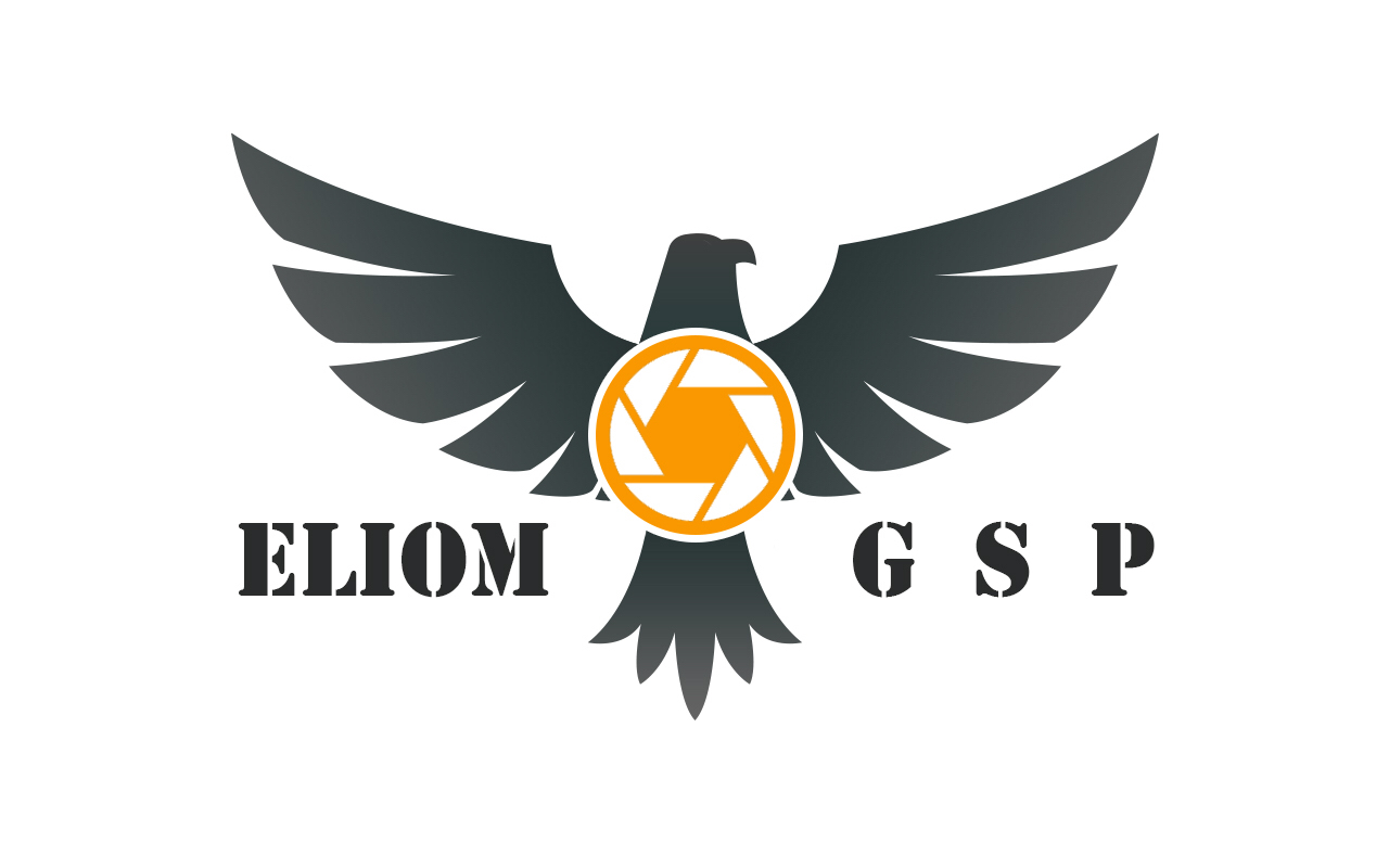 Avatar for ELIOM GENERAL SERVICES PROVIDER