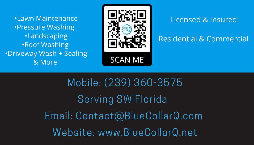 Avatar for Blue Collar Q