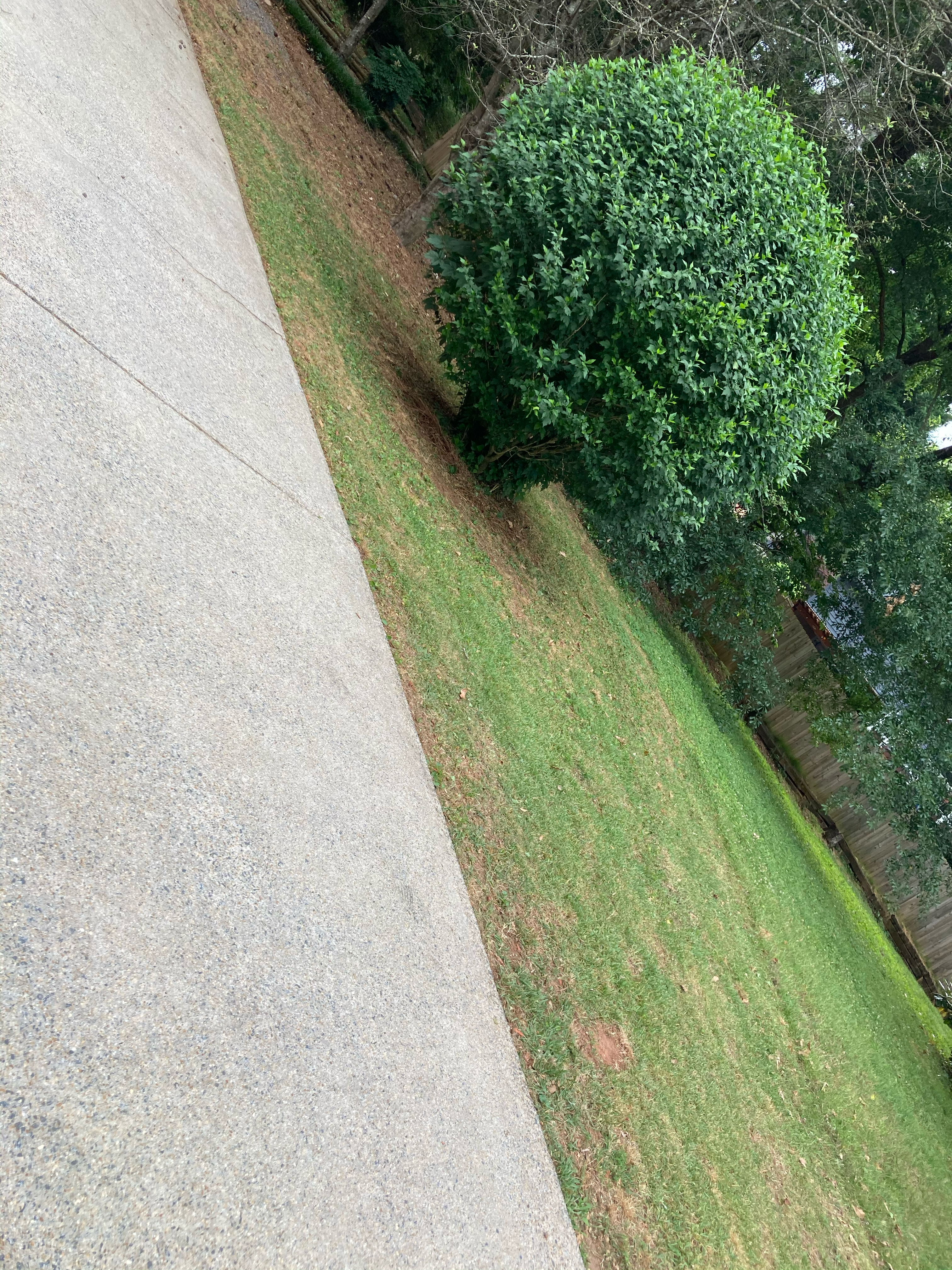 Logo for Sol lawn care