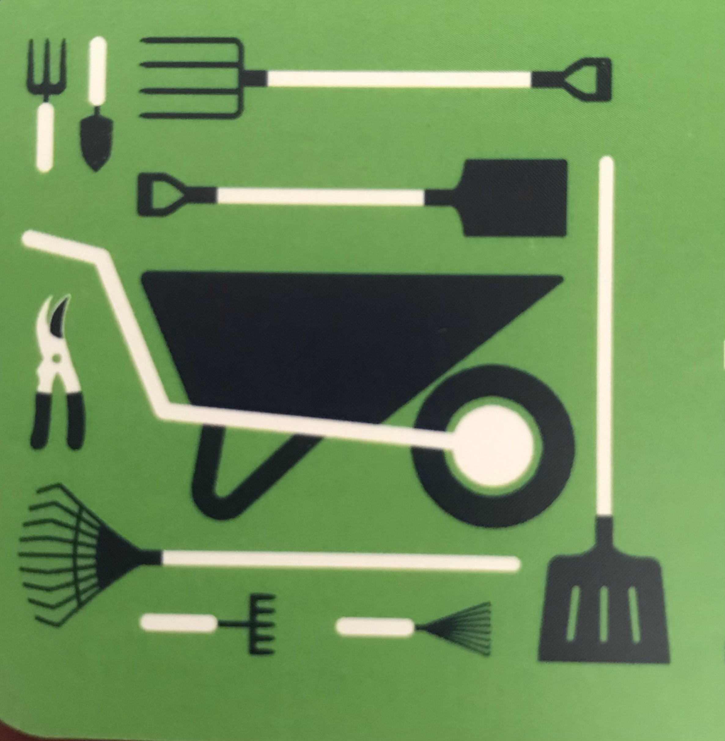 Avatar for LAE Services