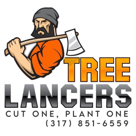 Avatar for Custom Care Tree Solutions LLC.