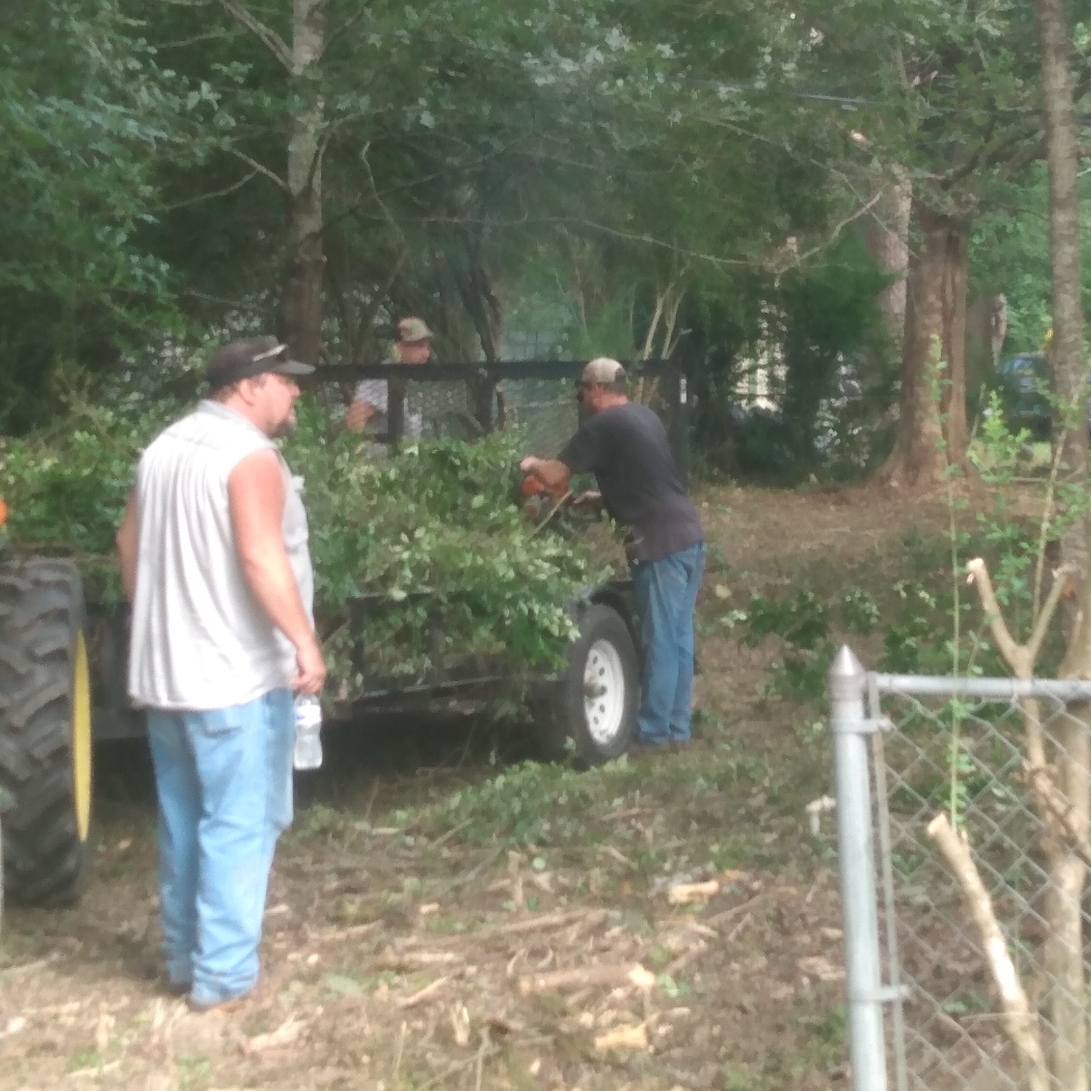 C&S Tree Service logo