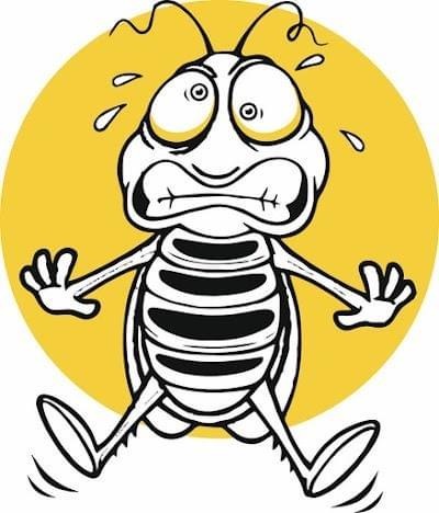 Allbugspestcontrol logo