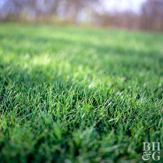 Avatar for Sound Beach Lawn Mowing
