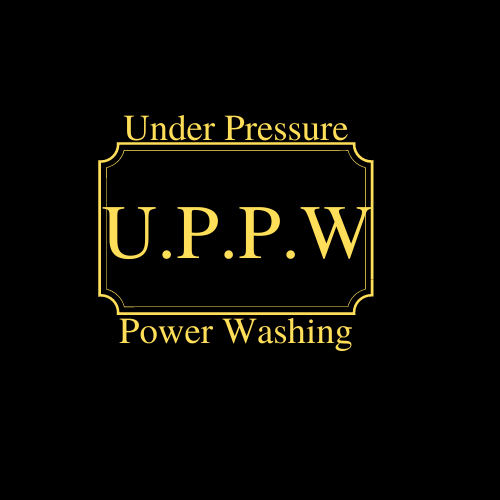 Avatar for TNT Under Pressure Power Washing