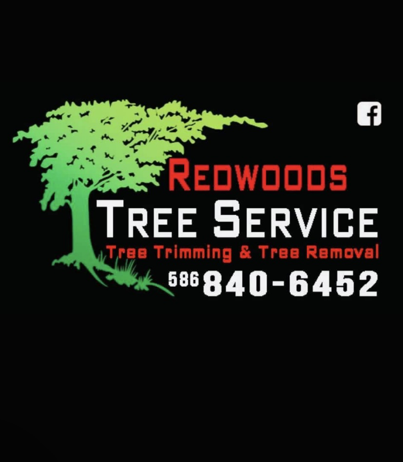 Logo for Redwood's Tree Service