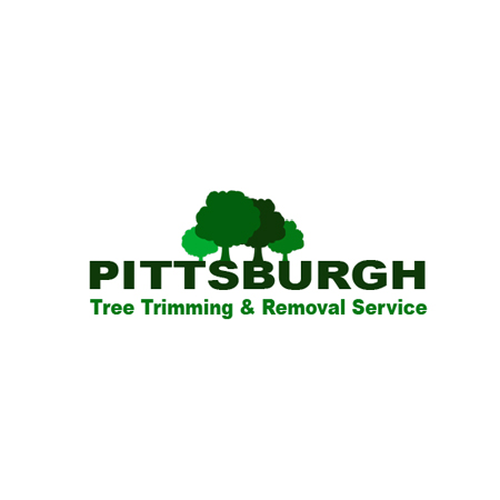 Avatar for Pittsburgh Tree Trimming & Removal Service