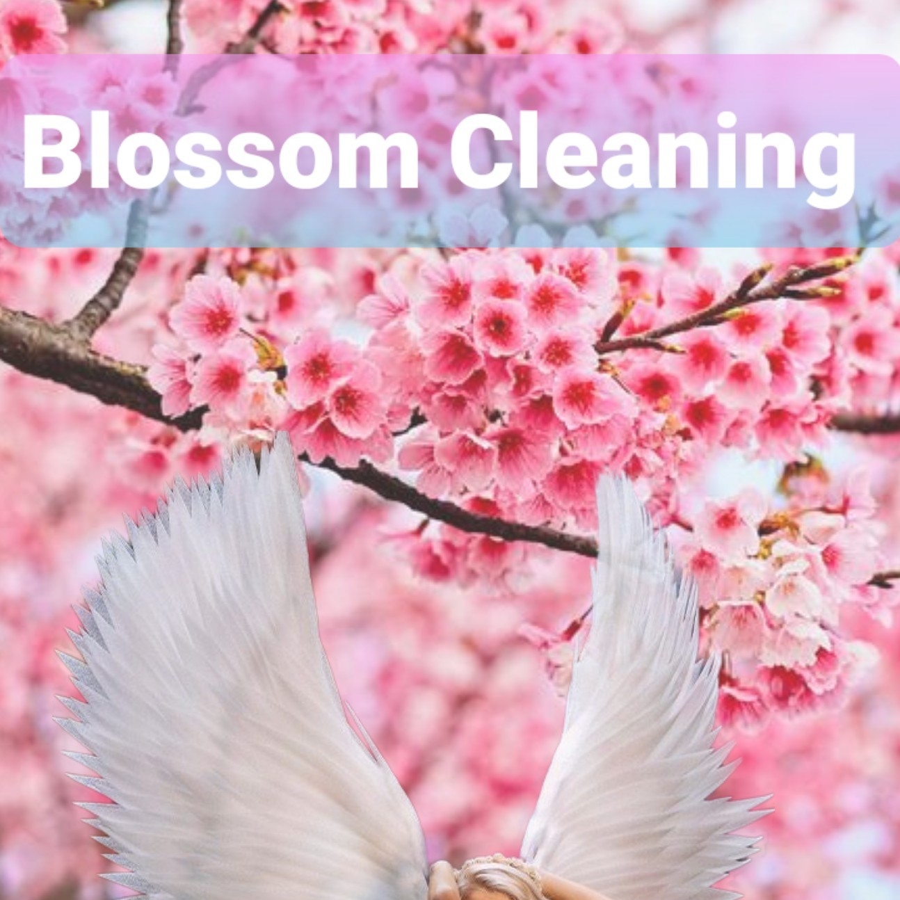 Blossom Cleaning logo