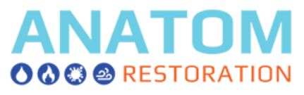Logo for Anatom Restoration