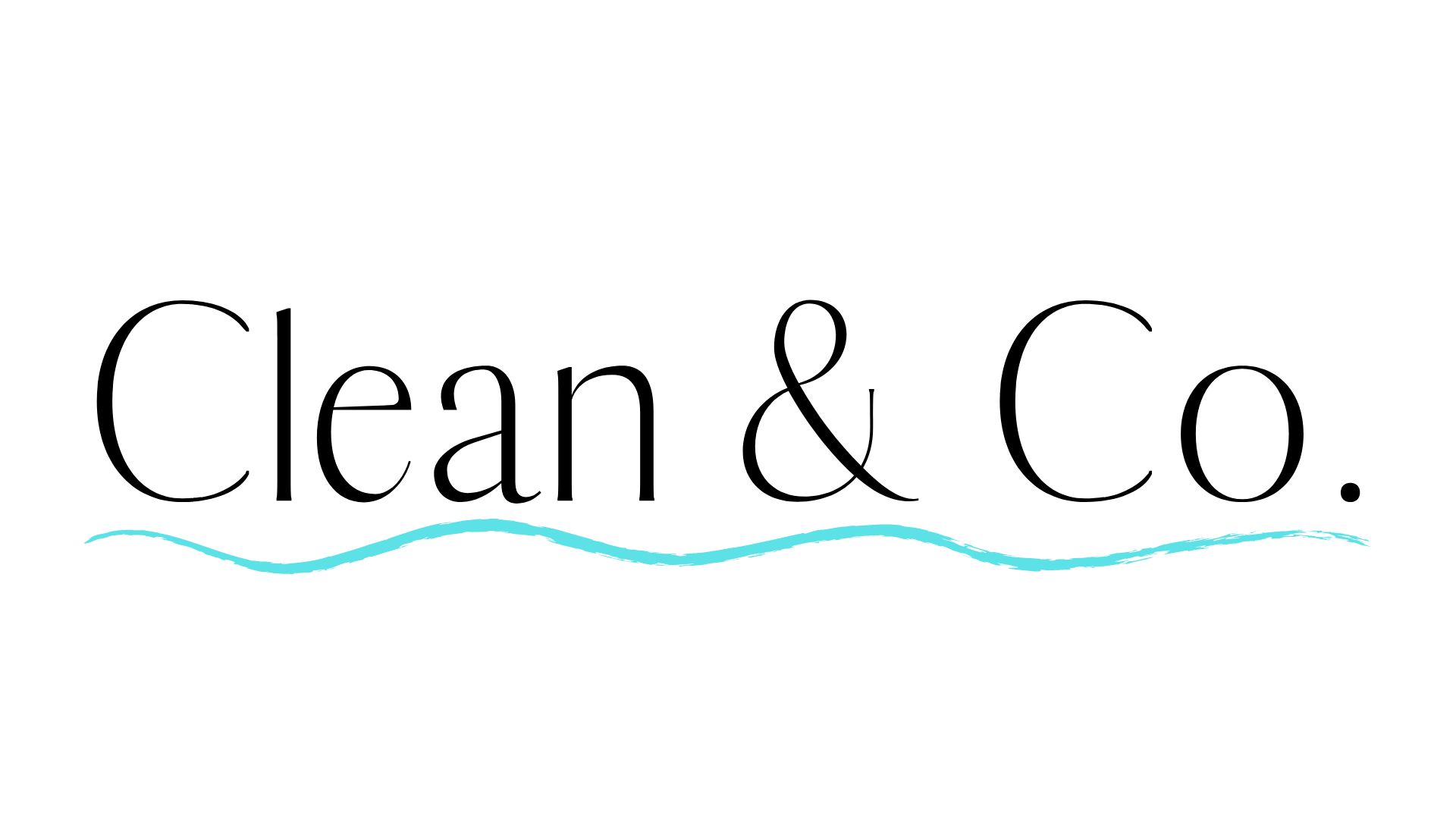 Clean & Co. logo