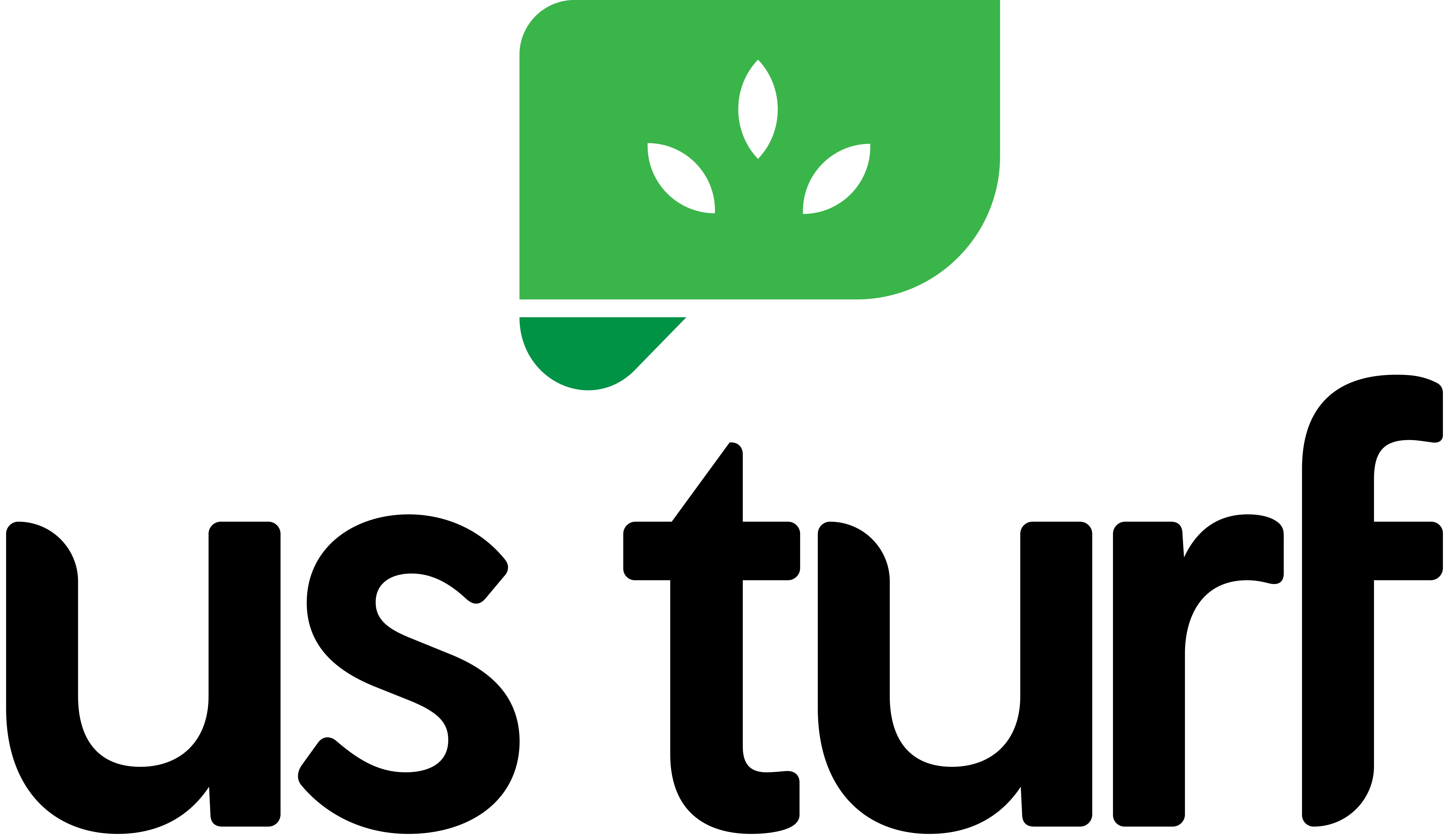 us turf logo