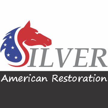 Avatar for Silver American Restoration