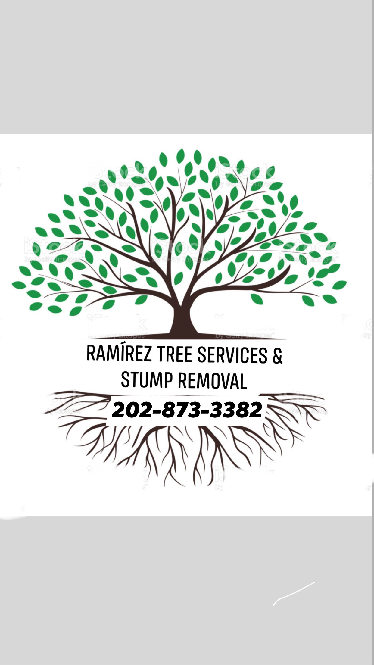 Logo for Ramirez Tree Services & Stump Removal