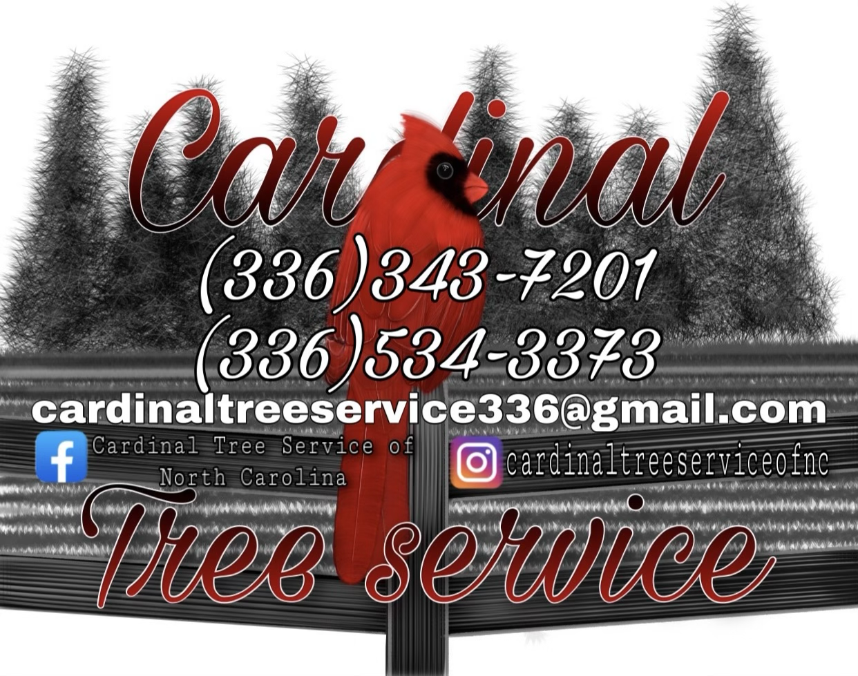 Avatar for Cardinal Tree Service