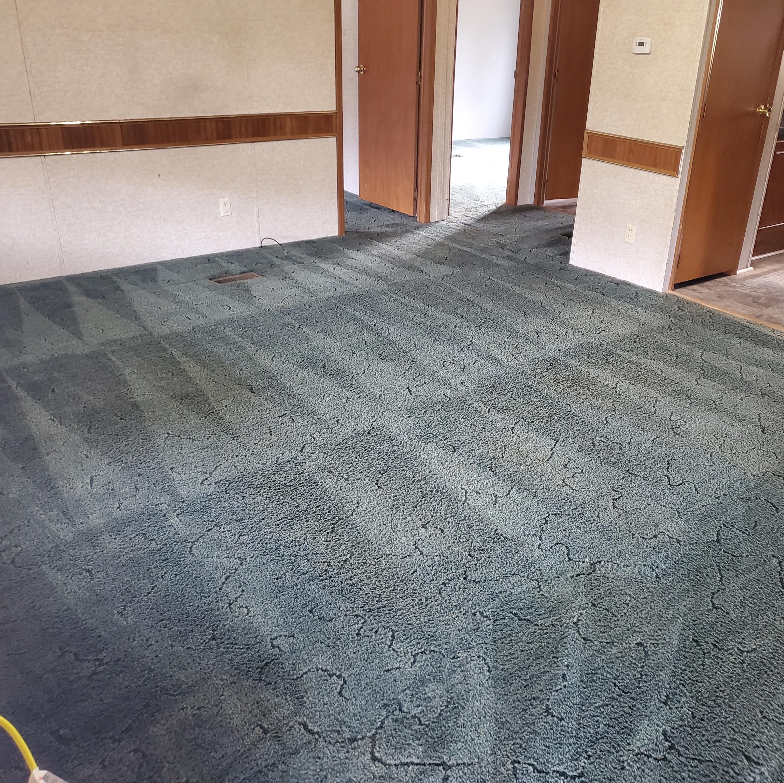 Avatar for Wrightway Carpet & Floor Cleaning LLC