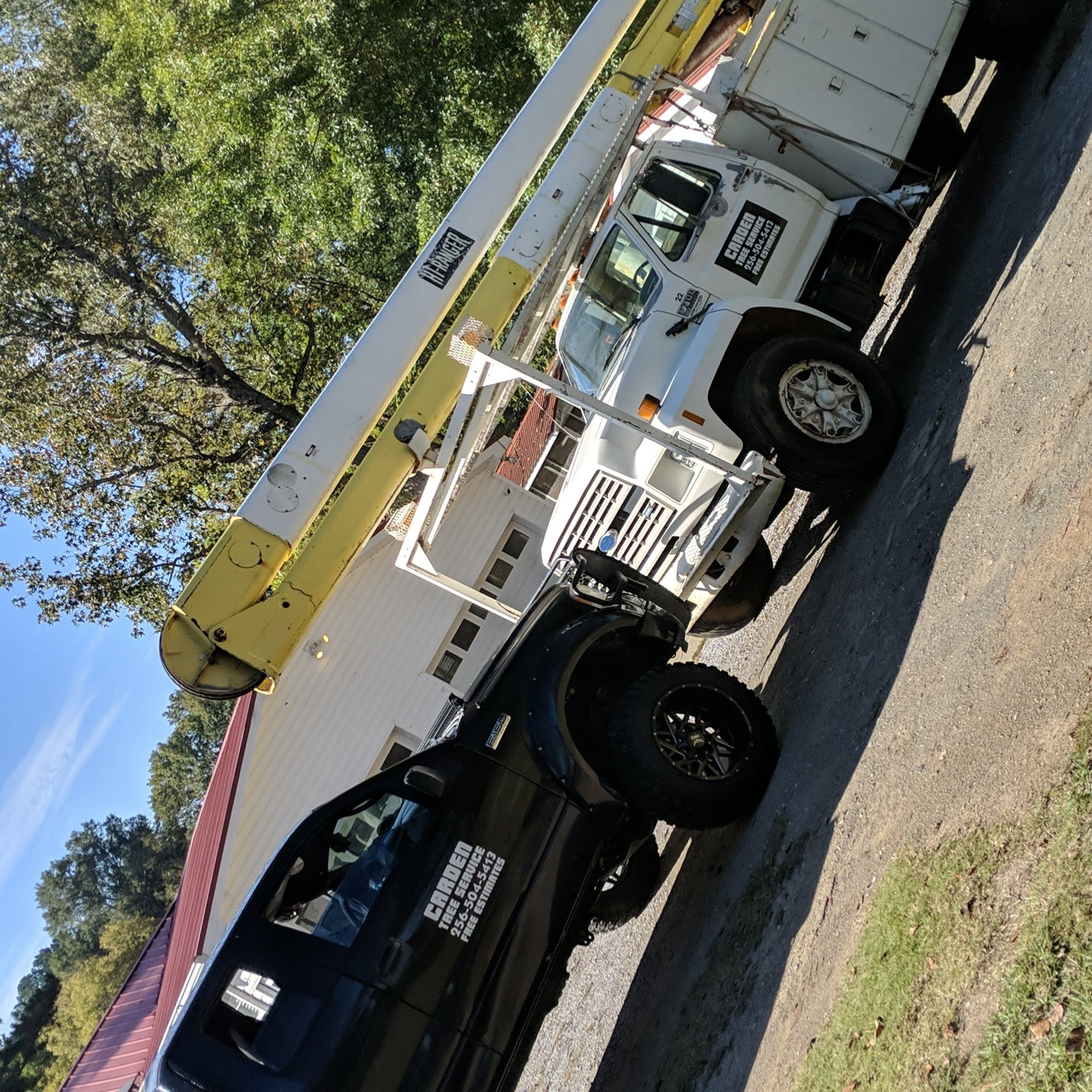 Avatar for Carden tree service & stump grinding