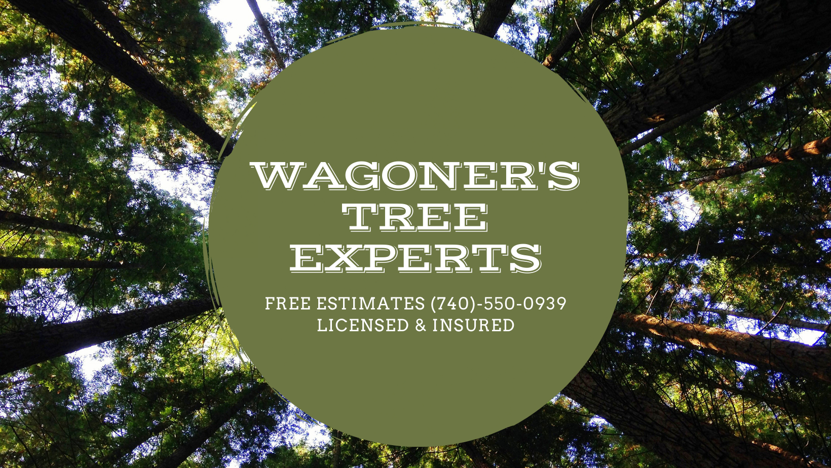 Wagoner's Tree Experts logo