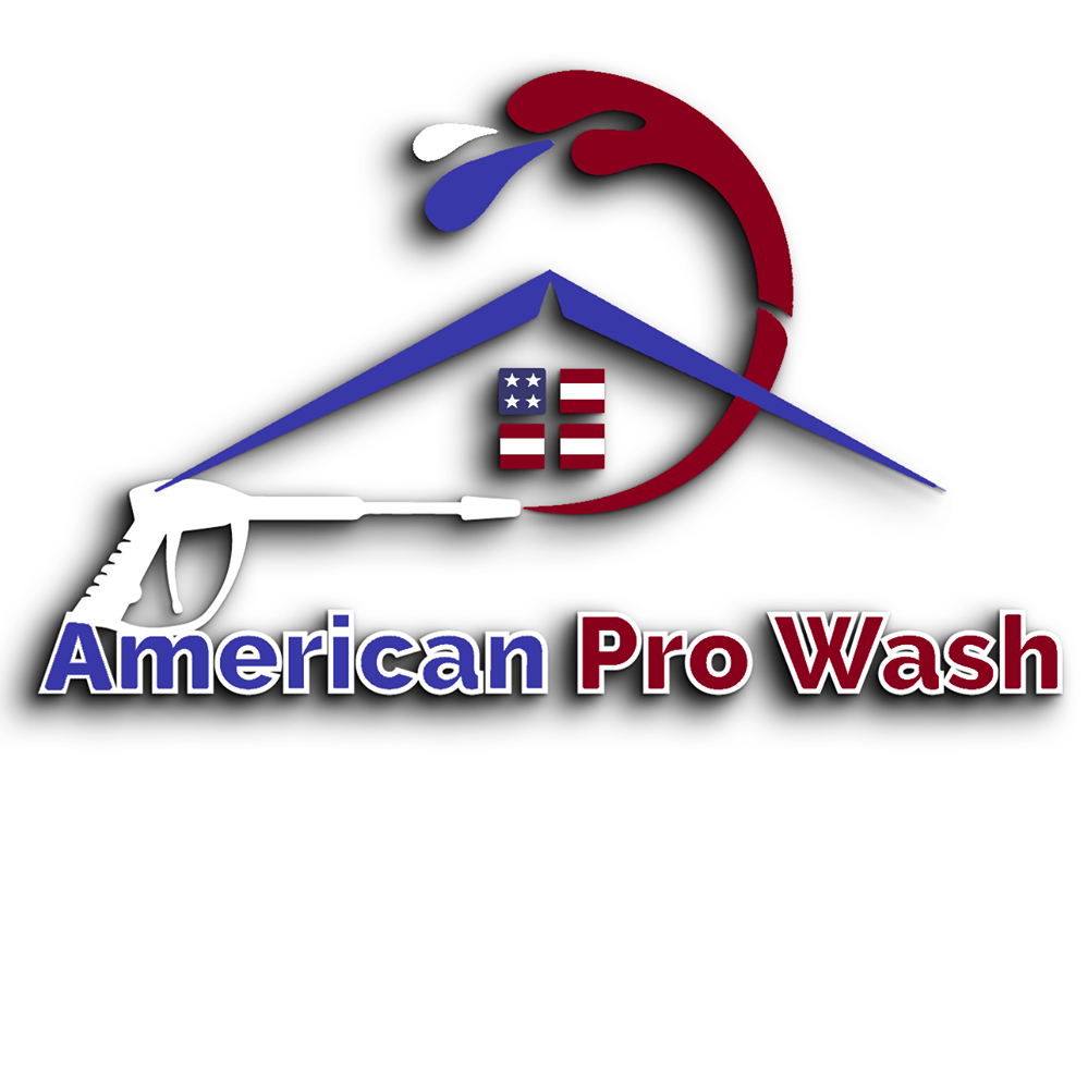 American Pro Wash logo