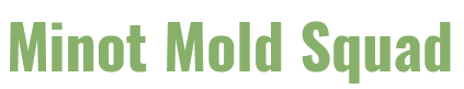 Minot Mold Squad logo