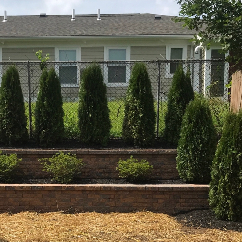 Avatar for AV Landscaping & Stone