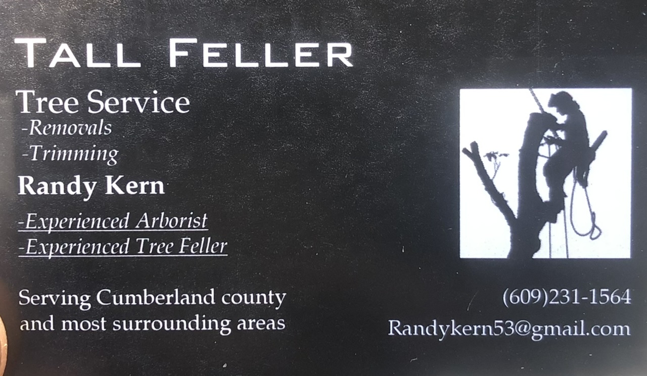 Tall Feller, LLC logo